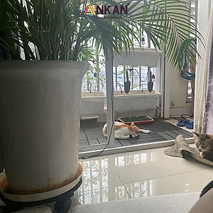 Đế Lót Chậu Cây Có Bánh Xe Thương Hiệu ANKAN, Đế Để Chậu Cây Cảnh, Có Bánh Xe, Mặt Tròn Bằng Gỗ Tràm, Màu Đen Đường Kính 35 Cm, Tải Trọng 80kg, Thích Hợp Để Đặt Chậu Cây Trong Nhà, Ngoài Trời, Tiện Lợi Di Chuyển