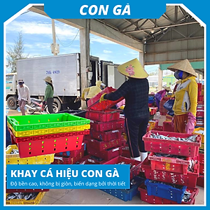 Khay nhựa trồng rau/khay nhựa đựng cá siêu bền Siam Brothers - Xanh