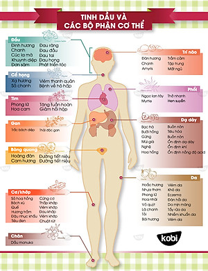 Tinh Dầu Chanh Tươi Kobi Lemon Essential Oil Dùng Xông Phòng, Giúp Thanh Lọc Không Khí, Tăng Cường Miễn Dịch, Tinh Thần Sảng Khoái, Làm Sạch Đồ Dùng Gia Đình