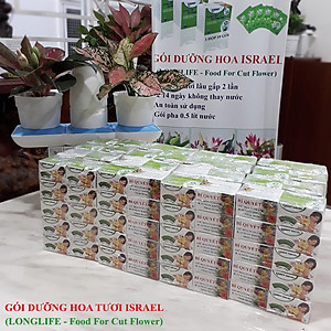 Bột Cắm Hoa Lily Tươi Lâu, Hiệu Longlife nhập khẩu Isarel (Bộ 30 gói)