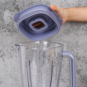 Máy xay sinh tố Philips HR2221/00 (700W) - Hàng Chính Hãng