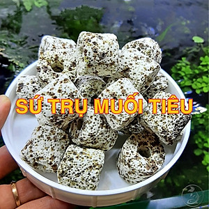 Vật Liệu Lọc Hồ Cá (100g) - Viên Sứ Lọc, Xử Lý Nước Bể Cá Loại Tốt Giá Rẻ - Phụ Kiện Thủy Sinh Cá Cảnh