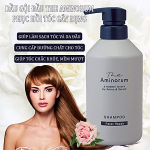 Dầu Gội Phục Hồi Tóc Gãy Rụng Hư Tổn Salon Link The Aminorum Shampoo (400 mL)
