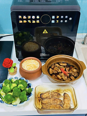 Nồi Chiên Hấp Đa Năng OLIVO SF1600 Hàng chính hãng