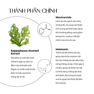 Kem nám và tàn nhang ban đêm Truesky Melasma Cream chiết xuất tảo biển 20g