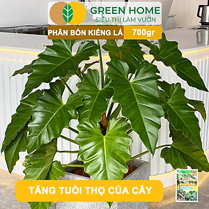 Phân Bón Cây Kiểng Lá Greenhome, Bao 700gr, Trầu Bà Monstera, Cây Nội Thất, Giúp Đâm Chồi Mạnh, Rễ Khoẻ, Lá To
