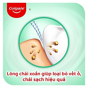 Bộ 3 bàn chải Colgate chăm sóc nướu ( màu ngẫu nhiên )
