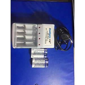 (COMBO) Bộ sạc và 4 pin Dowblepow 1200mAh