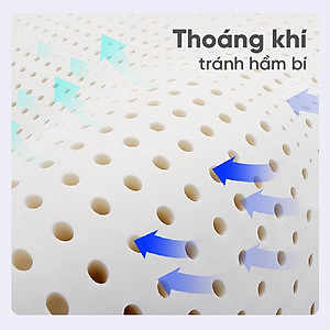 Nệm cao su Vạn Thành Standard chính hãng