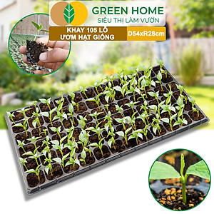 Khay Ươm Hạt Giống Greenhome, 105 Lỗ, Thoáng Rễ, Nảy Mầm Cao, Tiết Kiệm Diện Tích Ươm, Độ Bền Cao