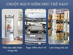 Chai Xịt Đuổi Chuột Rat Off - Anti Rat Spray Thái Lan 200ml Tặng kèm móc khóa (Mẫu Ngẫu nhiên)