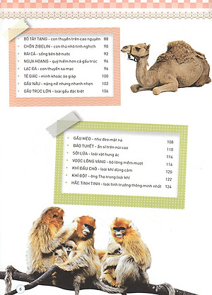 Thiên Nhiên- Những Bí Mật Còn Ẩn Giấu - Động Vật Quý Hiếm (Tái Bản 2019)- 2HBooks