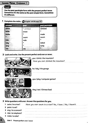 Family and Friends: Level 5: Workbook