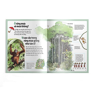 Sách Em muốn biết vì sao thông có lá kim và những câu hỏi khác về rừng cây