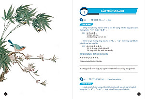 Combo Bài tập củng cố cấu ngữ pháp HSK cấu trúc giao tiếp & luyện viết HSK4-5 và Tuyển tập cấu trúc cố định tiếng Trung ứng dụng