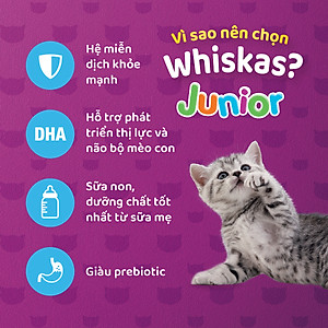 Thức Ăn Cho Mèo Con Whiskas Junior 2-12 MonthsVị Cá Biển 450g/Túi