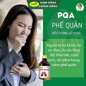 Siro Phế Quản PQA Thành Phần Từ Thiên Nhiên Giúp Bổ Phế, Ho Hộp 250ml