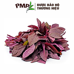 Hạt Giống Rau Dền Đỏ PMP 05g