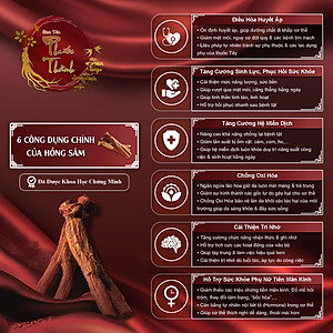 Viên tinh chất hồng sâm KGC Extract Pills 168g