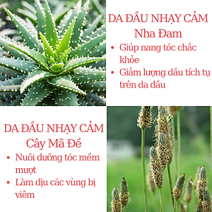 Dầu gội ngăn rụng tóc dành cho da đầu nhạy cảm, giúp tóc chắc khỏe từ gốc đến ngọn Sensitive Scalp Shampoo Jean Yip