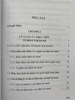 Định Tội Danh và Quyết Định Hình Phạt 