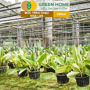 10 Móc Treo Chậu Lan Greenhome, D60Cm, Thiết Kế Tối Giản, Thẩm Mỹ, Treo Lan, Chậu Hoa, Dễ Sử Dụng