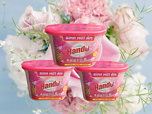 Combo 6 Hộp Hút Ẩm Khử Mùi Nấm Mốc Hương Hồng 450Ml