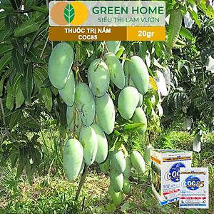 Thuốc Trị Nấm Cây Trồng Greenhome, Coc85 Wp, Gói 20gr, Trừ Đốm Lá Cho Hoa Hồng, Nấm Trên Kiểng Lá, Cây Cảnh, Cây Ăn Quả