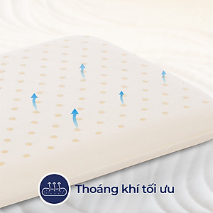 Gối nằm cao su thiên nhiên em bé Liên Á Oval + Kèm áo gối cùng kích thước .