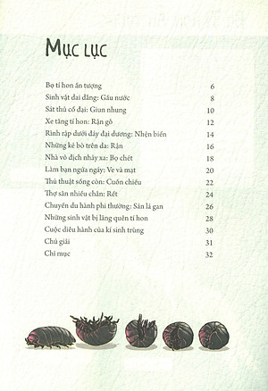 Sách Những Loài Bọ Phá Kỷ Lục - Bọ Tí Hon Ấn Tượng