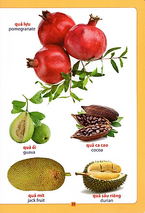 Sách Từ Điển Bằng Hình - Hoa, Quả, Rau, Củ