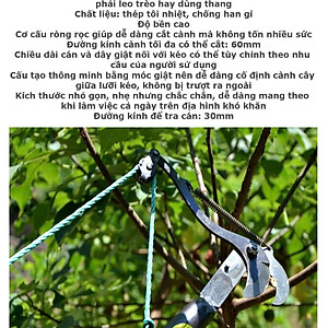 Kéo Cắt Tỉa Cây Trên Cao Loại Xịn – Gia Công Chắc Chắn, Sắc Bén, Cực Dễ Cắt