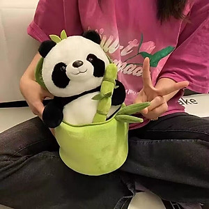 Gấu Bông Thú Bông Panda Gấu Trúc Trong Ống Tre Siêu Dễ Thương Quà Tặng Đáng Yêu