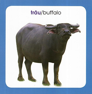 Từ Điển Hình Ảnh Cho Bé: Động Vật (Tái Bản 2019)