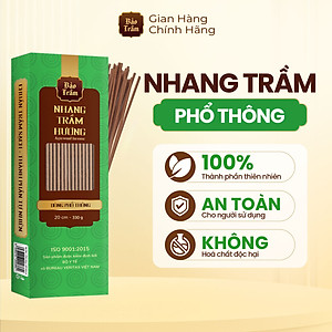Nhang Trầm – Hộp Xanh Lá 600g | Bảo Trầm | Thơm Dịu, Không Hóa Chất, Dùng Cúng Lễ