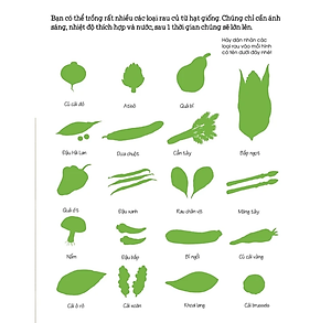 Sách Thế Giới Trong Tay Em - Bí Mật Về Các Loại Thức Ăn