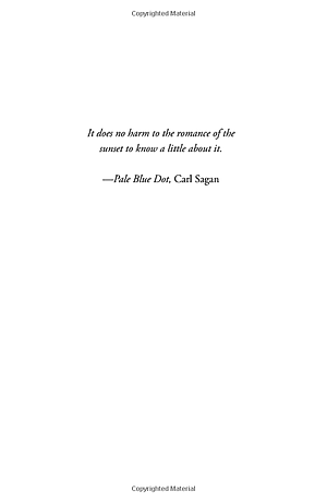 Sách The Sun Is Also A Star