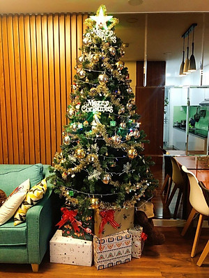 Cây thông noel màu xanh cao 180cm - Tán dày và đẹp, cây thông chắc chắn và dể tháo lắp