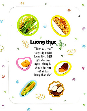 Sách Tương Tác - Lift-The-Flap - First 100 Plants - 100 Từ Đầu Tiên Về Thế Giới Thực Vật (Tái Bản)