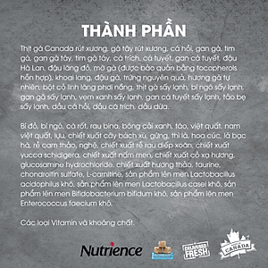 Thức Ăn Hạt Cho Chó Nutrience Subzero Có Hạt Thịt Tươi Bao 500g - Thịt Gà Tây, Cá Hồi, Cá Đại Dương, Rau Củ Và Trái Cây Tự Nhiên