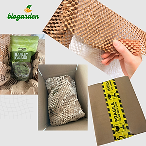 Bột Maca đen hữu cơ 100gr - Dragon Superfoods