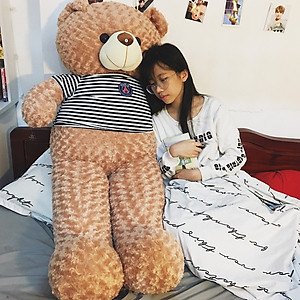 Thú bông Gấu Teddy màu Vani siêu to khổng lồ - Khổ vải 1M8 cao 1M6