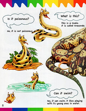 Sách My First Questions & Answers - Rainforest