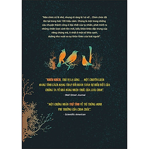 Sách Chim Chóc Chưa Bao Giờ Ngốc (Giải Mã Bộ Não Thiên Tài Của Loài Chim)