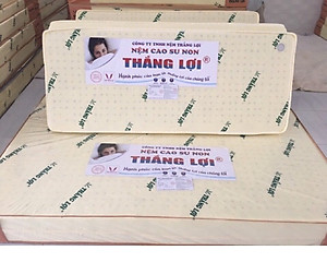 Nệm cao su non Thắng lợi gấp 3 đủ size dày 10cm