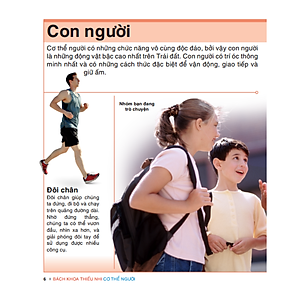 Sách Tri Thức Trong Lòng Bàn Tay - Bách Khoa Thiếu Nhi Cơ Thể Con Người