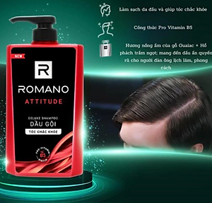Dầu Gội Cao Cấp Cho Nam Romano Attitude (650g)