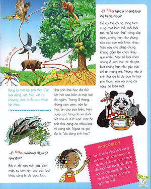 Sách Vì Sao? Như Thế Nào? - Sinh Thái (Tái Bản)