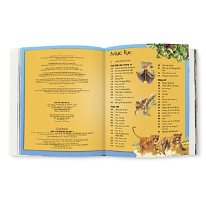 Sách Bách Khoa Tri Thức Cho Trẻ Em - Khám Phá Và Sáng Tạo (Đông A) (Tái Bản)