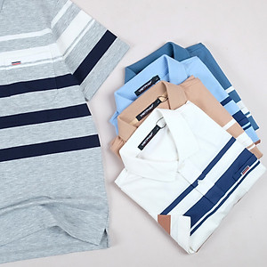 Áo Polo Nam VIỆT PHÁP Form Luxury - Thun Sọc TC Túi , lịch lãm, sang trọng 3804